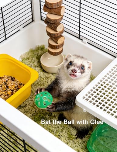 10 Pack Hollow Cutout Bell Play Balls for Ferret, Non Toxic, PP Material | Smooth Polished Edges, No Sharp Burrs, Gentle On Ferret Mouth and Paw