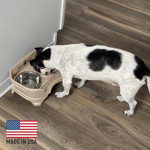 Neater Feeder Express Mess Proof Dog Bowls Elevated for Small Breeds Under 15 Lb, Made in USA, No Spill Raised Dog Food Bowl Stand, Stainless Steel Food and Water Bowl Set, Feeding Station, Almond - color: Almond, size: Small w/ Standard Bowls