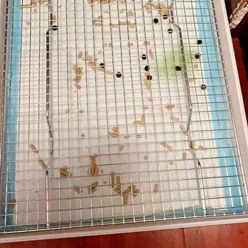 PODOO Rabbit Litter Box – Training Potty Tray for Guinea Pig & Small Pets · Spacious Grid Pan with Low Entrance, Easy-Clean & Odor-Resistant—Helps Keep a Clean Cage and Reduce Mess - size: Large + Extra Large Steel Holes Grids
