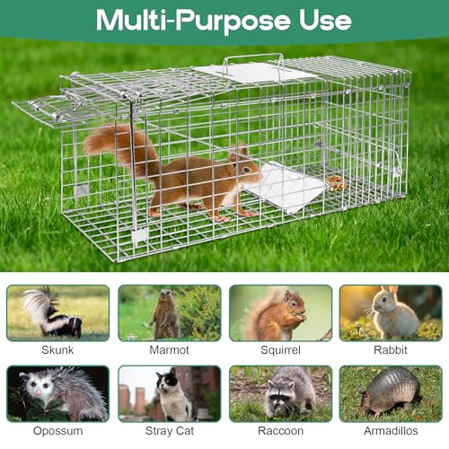Humane Live Animal Trap Cage 26" × 9" × 10",Heavy-Duty Live Catch Cage for Raccoon, Squirrel, Stray Cats, Groundhogs, Armadillos, Opossums, Rabbits, Skunk, Mole, Small Wildlife Control - size: 26"×9"×10"