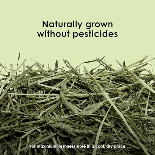 Kaytee Wafer Cut All Natural Timothy Hay for Pet Guinea Pigs, Rabbits & Other Small Animals, 60 Ounce - size: 3.75 Pound (Pack of 1)