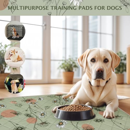IEUUMLER Washable Pee Pads for Dogs, 2 Pack Non-Slip & Waterproof Pack Whelping Pad, Reusable Washable Puppy Potty Training Pad with Fast Absorbent for Playpen EU007 (Grass Green Daisy, 36"X48"-2pcs) - size: 36"X48"-2pcs