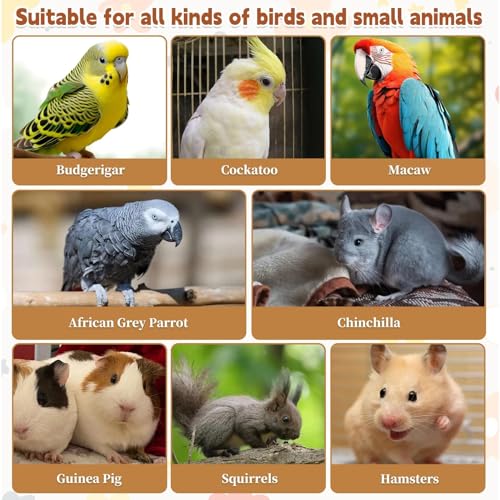 kathson 11.8 x 7.8 Inches Large Bird Perch, 2 PCS Natural Wooden Parrot Stand Platform, Parakeet Rectangle Stand Perch Shelf, Cockatiel Corner Shelf for Conure Budgie Cockatoo Macaw African Grey - size: 11.8x7.8in,2PCS