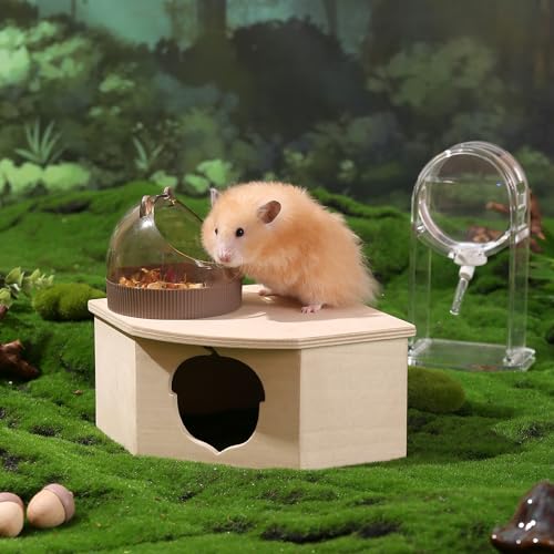 Natural Wooden Hamster House Hideout Small Animals Habitat Exploring Toys for Dwarf & Syrian Hamster, Gerbils, Mice, Rats, Hedgehog, Lemmings (Chestnut Shape Hole)