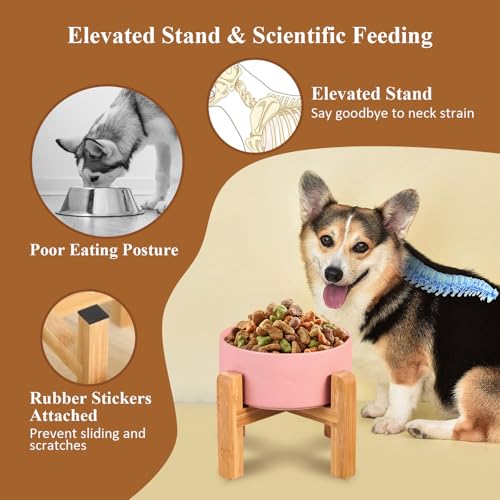 Ceramic Elevated Raised Cat Bowl with Wood Stand No Spill Pet Food Water Feeder Cats Small Dogs - color: White, size: Medium Dog Bowls 850ML*1