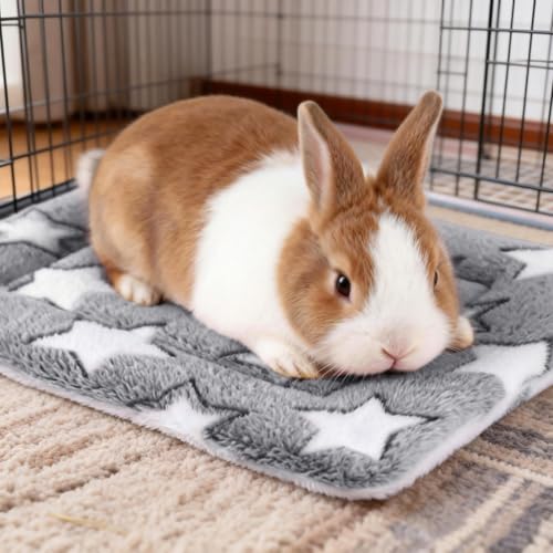 Guinea Pig Bed, 2 Pack (12x10 Inch) Soft Plush Small Animal Bed Mat, Washable Bedding Blanket Sleeping Warm Pad for Bunny, Rat, Ferret, Chinchilla - color: Gray