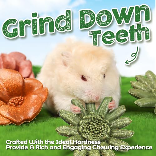 TEEWY Guinea Pig Chew Toys, Prevent Teeth Overgrowth, Natural Timothy Grass & Vegetables, Hamster Chew Toys, Guinea Pig Toys, Chinchilla Toys, 4PCS, Grass Patch & Flowers - style: 4PCS-Grass Patch & Flowers