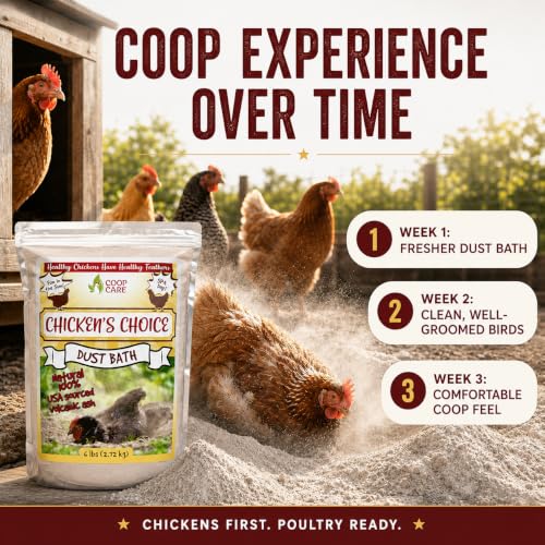 Chicken's Choice Chicken Dust Bath, 6 lb Natural Volcanic Ash Dust Bath for Chickens. Dust Mix for Healthy Chickens, Chinchillas, Small Animals. Made in The USA. Coop Accessories (1, Volcanic Ash)