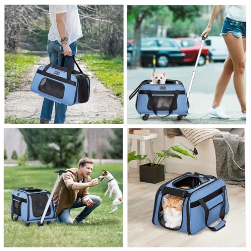 Petsfit Cat Carrier with Wheels, Removable Spinner Wheels, Up to 13 lb | Fits pets up to 15 L x 8 H in and 13 lb; removable spinner wheels, anti-sag frame, 4-sided mesh, safety tether and locks. - color: Blue, size: 20.1"L x 12.2"W x 14.2"H