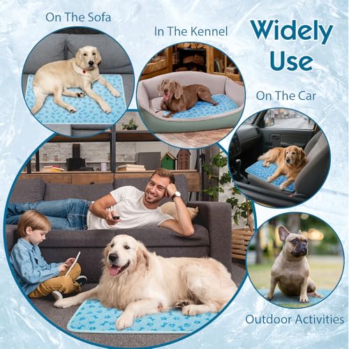 Cooling Mat for Dogs, Q-Max 0.5 Dog Cooling Pad | Lightweight Portable, Non-Toxic Washable, Ideal for Pet Bed, Crate & Car to Relieve Summer Heat - size: Medium