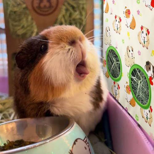 JarThenaAMCS 2 Pcs Guinea Pig Hay Feeder Bag with 2 Holes Hanging Hay Feeding Bag Beige Flower Floral Storage Dispenser for Chinchilla Hamster Bunny Small Animal Pet, 11.5 x 9 Inch