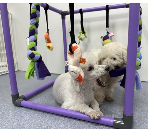 Puppy Play Gym for small dogs with 8 Hanging Interactive Toys Indoor Play | Funny Enrichment Jungle Playground to Keep Them Busy，with Bungee Straps for self-play,19.5*19.5*19.5in