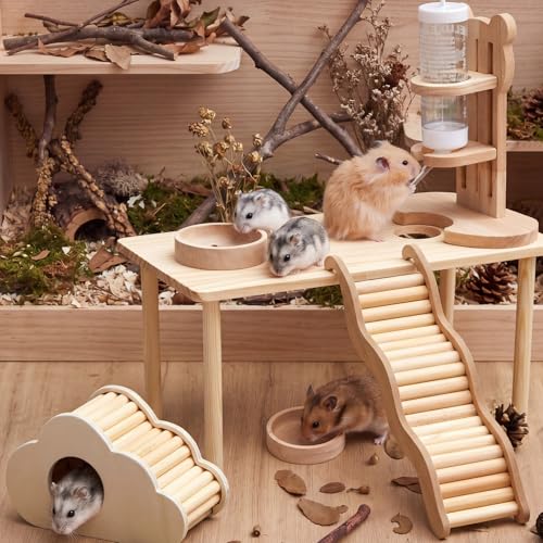 5 Pcs Hamster Cage Accessories, Wood Hamster Play Wooden Platform Water Bottle with Stand Climbing Set for Rat Mice Small Animals Pets Habitats Woodland Decor(Cloud Villa) - style: Cloud Villa