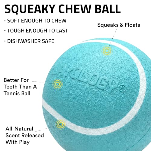 Playology Squeaky Chew Ball Dog Toy - Small, Peanut Butter Scent, 3-Pack | Floating, Bouncy Fetch Toy, All Breeds, Indoor Outdoor Use, Non Toxic, Dishwasher Safe