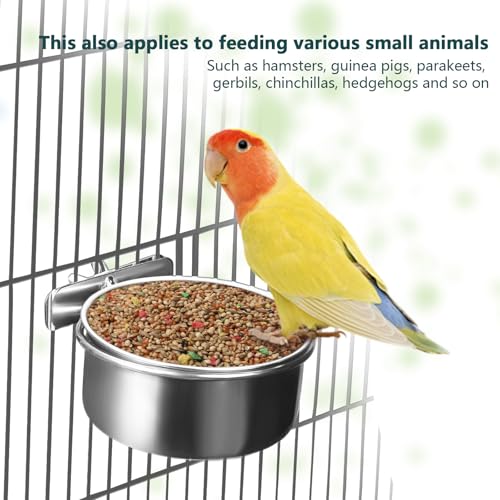 2 Pack Stainless Steel Bird Food Bowls with Clamp - Rust Proof Metal Feeding Cups for Parrot Cage, Easy Clean Water Dish for Cockatiel Conure Budgie Parakeet Small Animal (3.9 Inch, Silver)