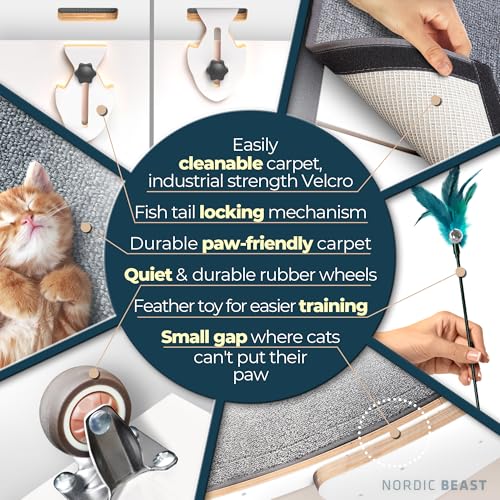 White 48'' XL Cat Wheel - Cat Wheels for Indoor Cats Which Doesn't Negatively Affect Your Cat's Spine - 15.7'' Extra Wide White Exercise Wheel - Fits 2 Cats Side-by-Side, 1-Year Warranty - color: White