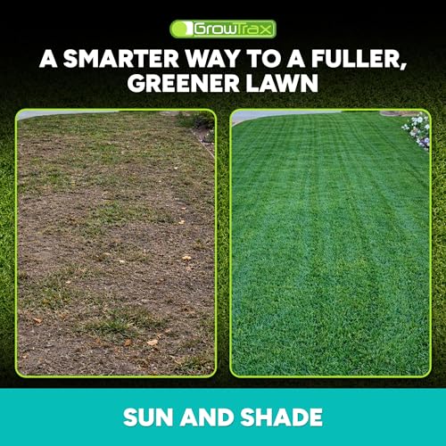 Growtrax Biodegradable Grass Seed Mat - 100 Sq Ft Year Round Green | Grass Seed for Lawns, Dog Patches & Shade, Just Water and Grow, No Fake or Artificial Grass - size: 803