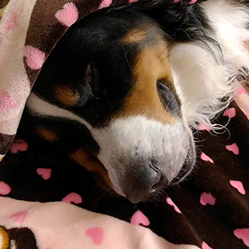 Snuggle Puppy Blanket for Pets - Cozy Dog Blanket for Small Dogs - Machine Washable Dog Blanket - color: Pink