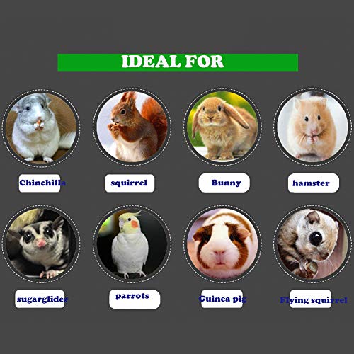 QBLEEV 3 PCS Hamster Chew Toys for Teeth, Chinchilla Cage Accessories Supplies, Guinea Pigs Natural Wood Chews Sticks for Rat Squirrels, Rabbits Perch Toys Birds Standing Platform for Parrot Bunny | Guinea pigs natural wood chews sticks for rat squirrels,