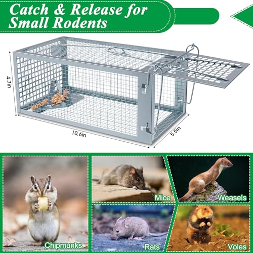 2 Packs Humane Rat Mouse Trap Outdoor Live Animal Cage Indoor & Outdoor | Silver Iron Galvanization, Reusable Safe for Children & Pet, Waterproof