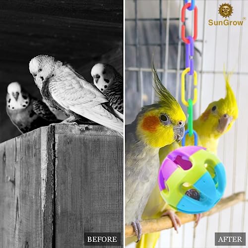 SunGrow Rainbow C-Clips Plastic Chain Links, Bird Swing & Climbing Chain Cage Toy Clips & Hooks, DIY Kids Learning Toys for Classroom, Suitable for Sugar Glider, Rat, Parrot, Bird