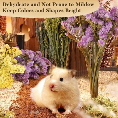 Sukh 60PCS Hamster Sprays - Natural Flower Herb Bedding & Habitat Decor | Natural Grain and Herb Sprays for Syrian & Dwarf Hamsters, Gerbils, Rabbits and Small Pets, for Foraging and Cage Enrichment