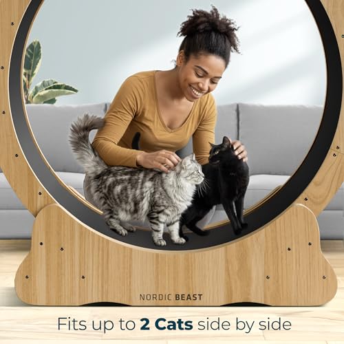 Walnut Wood 48'' XL Cat Wheel - Cat Wheels for Indoor Cats Which Doesn't Negatively Affect Your Cat's Spine - 15.7'' Extra Wide Walnut Exercise Wheel - Fits 2 Cats Side-by-Side, 1-Year Warranty - color: Walnut