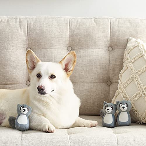 Outward Hound Squeakin' Raccoon Hide A Puzzle Plush Replacement Dog Toys - 3 Pack - color: Raccoons (3-pack)