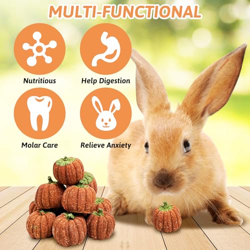 Fhiny 6 PCS Rabbit Chew Toys, Natural Pumpkin Carrot Timothy Grass Guinea Pig Chew Toys for Teeth Bunny Molar Snacks Dental Care Hamster Treats for Bunny Guinea Pig Chinchilla Hamster Gerbil - size: 6 PCS