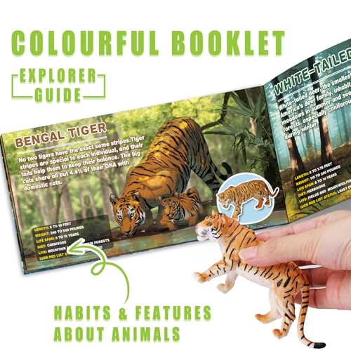 13 Pack Animal Figures with Booklet, Safari Jungle Animal Figurines | Realistic Safari Animals Figures for Kids, Plastic Zoo Animals Figurines for Toddle, Jungle Birthday Party Favor for Boy Girl