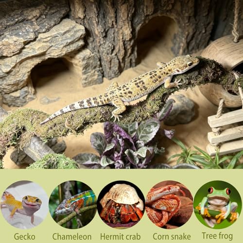 2PCS Leopard Gecko Climbing Toys Bendable Vine Tank Accessories for Lizard | collapsible moss,terrarium decor,natural,Great Moisture Retention,for crab geckos Chameleons,length of 19.7 inches,climbing
