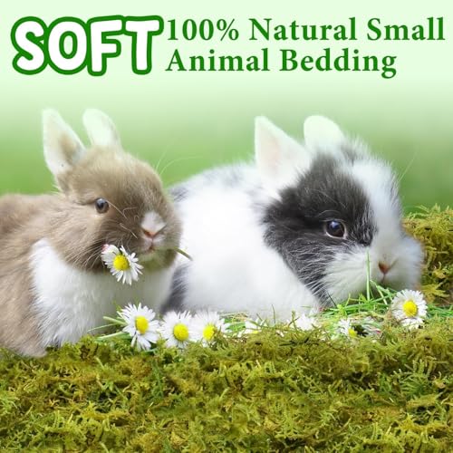 Halatool 12QT Hamster Moss for Bedding Nesting Hideout, Soft & Safe, 8OZ | Odor Control, Forest Moss for Rabbits Squirrels Guinea Pigs, Small Animals Cages, Terrariums, Reptiles, Plants - size: 8oz/12qt