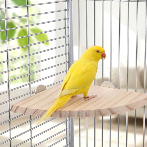 Bird Perch Platform Stand Bird Corner Wood Perch Birds Platform Parrot Stand Flat Fan Shape Playground Cage Accessories Shelf for Parakeet Conure Cockatiel Budgie Gerbil Rat Birds Hamster