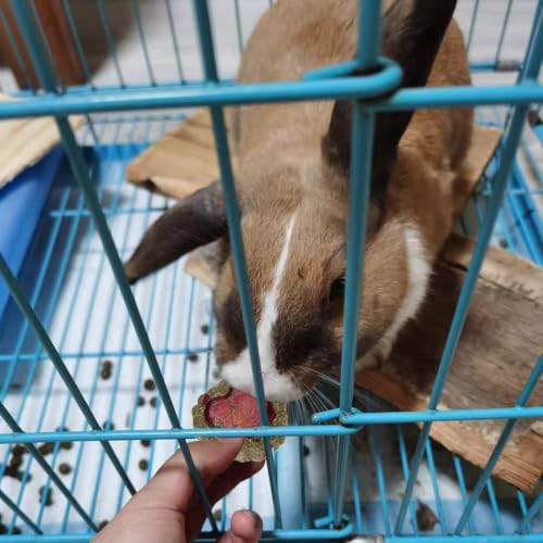 Hamiledyi 36Pcs Bunny Chew Toys,Natural Timothy Hay Handmade Grass Cakes Molar Treats for Bunny Chinchilla Guinea Pig Dwarf Rabbit Improves Teeth Health