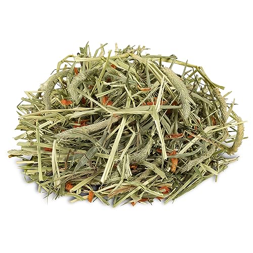 Kaytee Timothy Hay Plus Carrots for Pet Guinea Pigs, Rabbits & Other Small Animals, 24 oz - size: 1.5 Pound (Pack of 1)