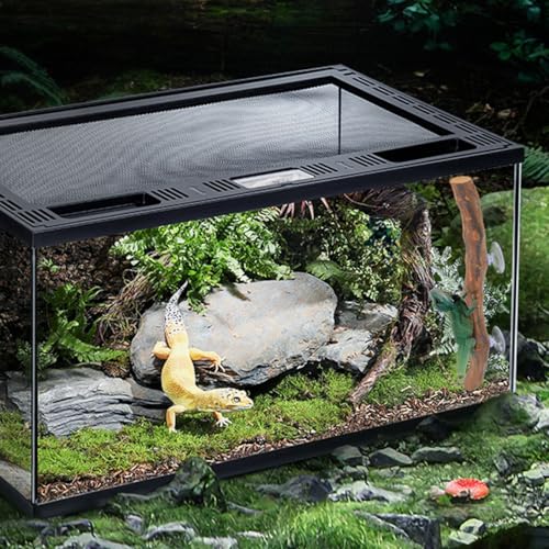 FAVOMOTO Wooden Reptile Climbing Branch with Suction Cups, Natural Terrarium Reptile Decor Lizard Climbing Toy for Snake Frog Bearded Dragons Chameleons Habitat Tank Accessories