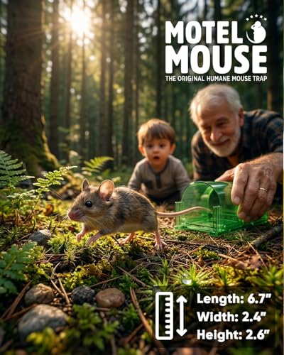 Motel Mouse Humane No Kill Mouse Traps Live Catch & Release - 4 Pack | Imrpoved Tail Protection • Kid & Pet Friendly • No Touch Release • Reusable Design • Easy to Use - color: Regular Green 4 Pack