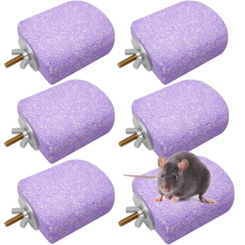 Lava Ledges for Rats 6 Pack Hamster Climbing Ledge Platform Pumice Ledge Shelf Pet Chewing Grinding Toys Small Animals Cage Accessories for Mouse Guinea Pig Gerbil Purple - color: Purple, size: 6 PCS 2.95 x 2.55 x 0.98 inches