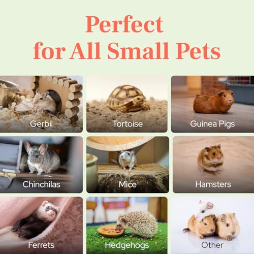 Guinea Pig Pee Pads, Fresh Grass Mat, Hamster Small Pet Bed 24x9 | Hydroponically grown grass with 2x the grazing area - great for guinea pigs, hamsters, hedgehogs, and multi-pet households - size: 24X9 inch