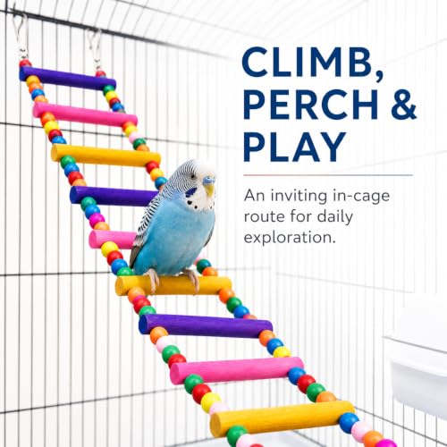 Flexible Wooden Bird Ladder Bridge for Cages, 20 in, 8 Steps | Natural wood, flexible bridge shape, four metal clasps, climbing and perching for small and medium birds - color: 20Inch - 8 Ladders