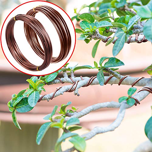 Mudder 5 Roll Aluminum Bonsai Training Wire Tree 160 Feet Total with Bonsai Wire Cutter Anodized Training for Holding Branches Small Trunks(1/1.5/2.0mm,Brown) - color: Brown, size: 1/1.5/2.0mm