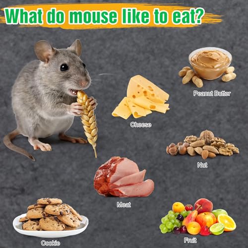 4 Pcs Humane Live Mouse Traps No Kill Reusable Mice Trap Catch | Green, PC Material, Reusable Capture & Release, Use for Home, Waterproof - size: 4 Pack