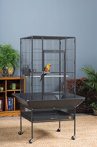Prevue Pet Products Park Plaza Bird Cage with Perches - L, Black Hammertone | Large Steel Cage with Rolling Stand and Perches, Ideal for Cockatiels and Medium Birds - color: Black Hammertone