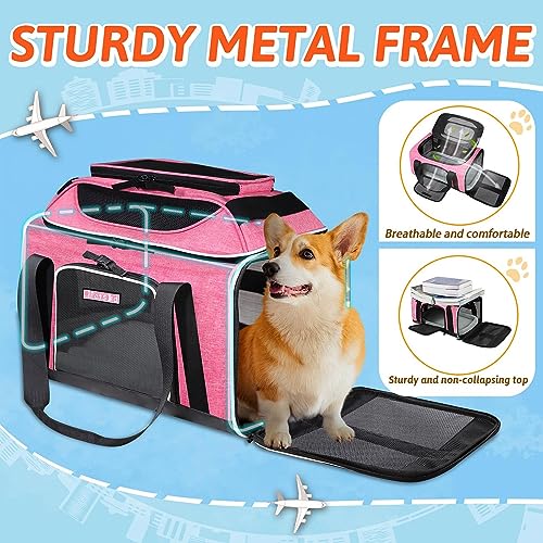 Top-Expandable Small Pet Carrier 18"x13"x9.5" Airline Approved | for Southwest Airlines, Lockable Safety Zippers and Anti-Scratch Mesh, Soft-Sided, Pets Under 10 Lbs, Pink - color: Pink, size: 18.0"L x 13.0"W x 9.5"H