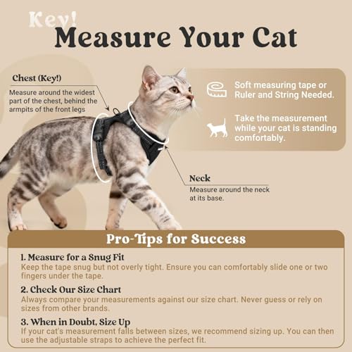 rabbitgoo Cat Harness and Leash, Easy-on with Neck Buckle, Black | Escape Proof, No Over-the-head, Soft Air Mesh, 3 Lockable Adjusters & Buckles, Reflective, for Small to Average Cats Walks, S - color: Black, size: S