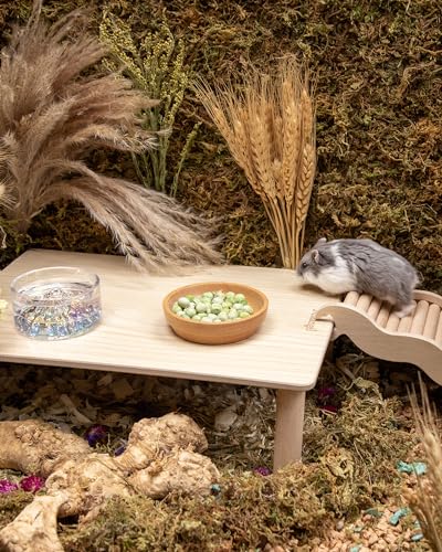 Niteangel Hamster Snack & Treats Toy - Freeze-Dried Pea & No Additive | Delivers Essential Vitamins & Minerals- Small Animal Natural Treat for Dwarf Syrian Hamsters Gerbils Mice Degus or Small Pets