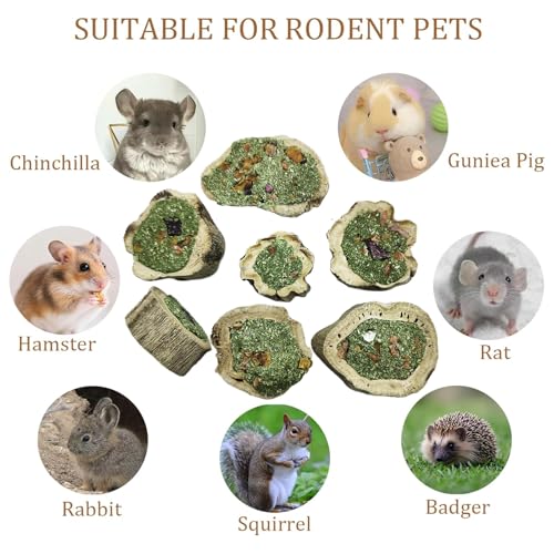 Rabbit Chew Toys for Teeth Guinea Pig Treats Papaya Wood for Bunny (10.5oz) | bunny supplies,rabbit enrichment toys,rabbit stuff,rabbit toys for bunnies boredom,for bunny guinea pig chinchilla Hamster - size: 10.5oz (A)