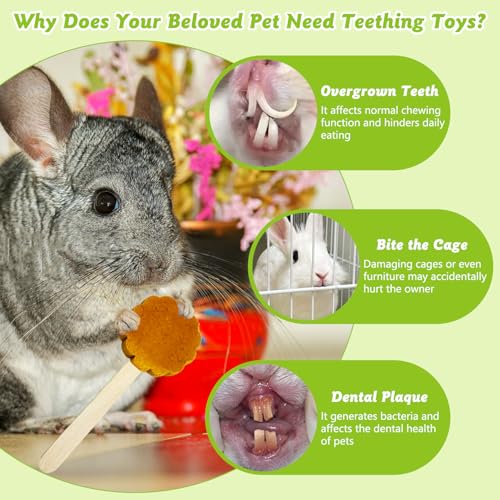Hamiledyi Bunny Chew Toys for Teeth Natural Rabbit Lollipop Chewing Sticks Hamster Pumpkin Molar Toy Chews and Snacks for Guinea Pig Chinchilla Gerbil (Pumpkin,10Pcs)