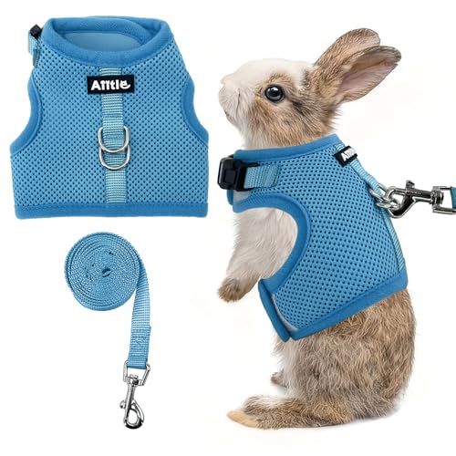 Adjustable Rabbit Harness and Leash Set Escape Proof, Blue M | Padded Vest with Magic Tape Design, Indoor/Outdoor Use (Training, Hiking) - Fits Hamsters, Rats, Iguanas, Puppies, Cats