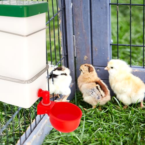 Automatic Waterer System Chick Drinker Cups 1L Hanging Automatic Fill Poultry Watering Cup Used for Cages (1)
